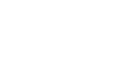Fashion Zoom logo